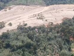 Pascabanjir di Tapsel, KLH/BPLH Hentikan Sementara-Audit Perusahaan di Hulu Sungai