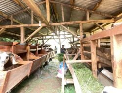 Bank Tanah Inisiasi Program Pemberdayaan Masyarakat dalam Implementasi Reforma Agraria di Cianjur
