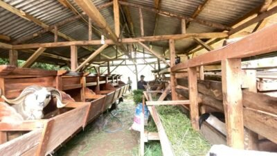 Bank Tanah Inisiasi Program Pemberdayaan Masyarakat dalam Implementasi Reforma Agraria di Cianjur