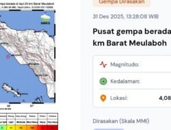 Gempa Magnitudo 3,7 Guncang Wilayah Barat Meulaboh