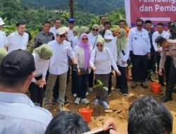 Upaya Preventif PNM: Bronjong Baru di Sukabumi Untuk Kurangi Risiko Longsor dan Lindungi Usaha Ultra Mikro
