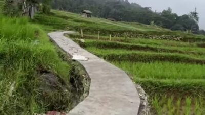 program rp25 juta per rt