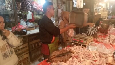 Jelang Nataru 2025/2026 Harga Ayam Potong Tembus Rp45 Ribu, Daya Beli Turun