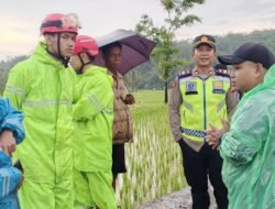 Dua Anak Terbawa Arus Sungai Cijampang Pagelaran, Satu Meninggal Dunia dan Satu Hilang