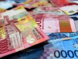 Cara Cek PIP Pakai HP dengan Mudah dan Cepat