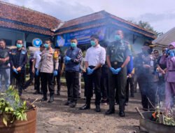Puluhan Tanaman Katinon di Lereng Gunung Gede-Pangrango Diduga Sengaja Ditanam Pihak Tak Bertanggung Jawab