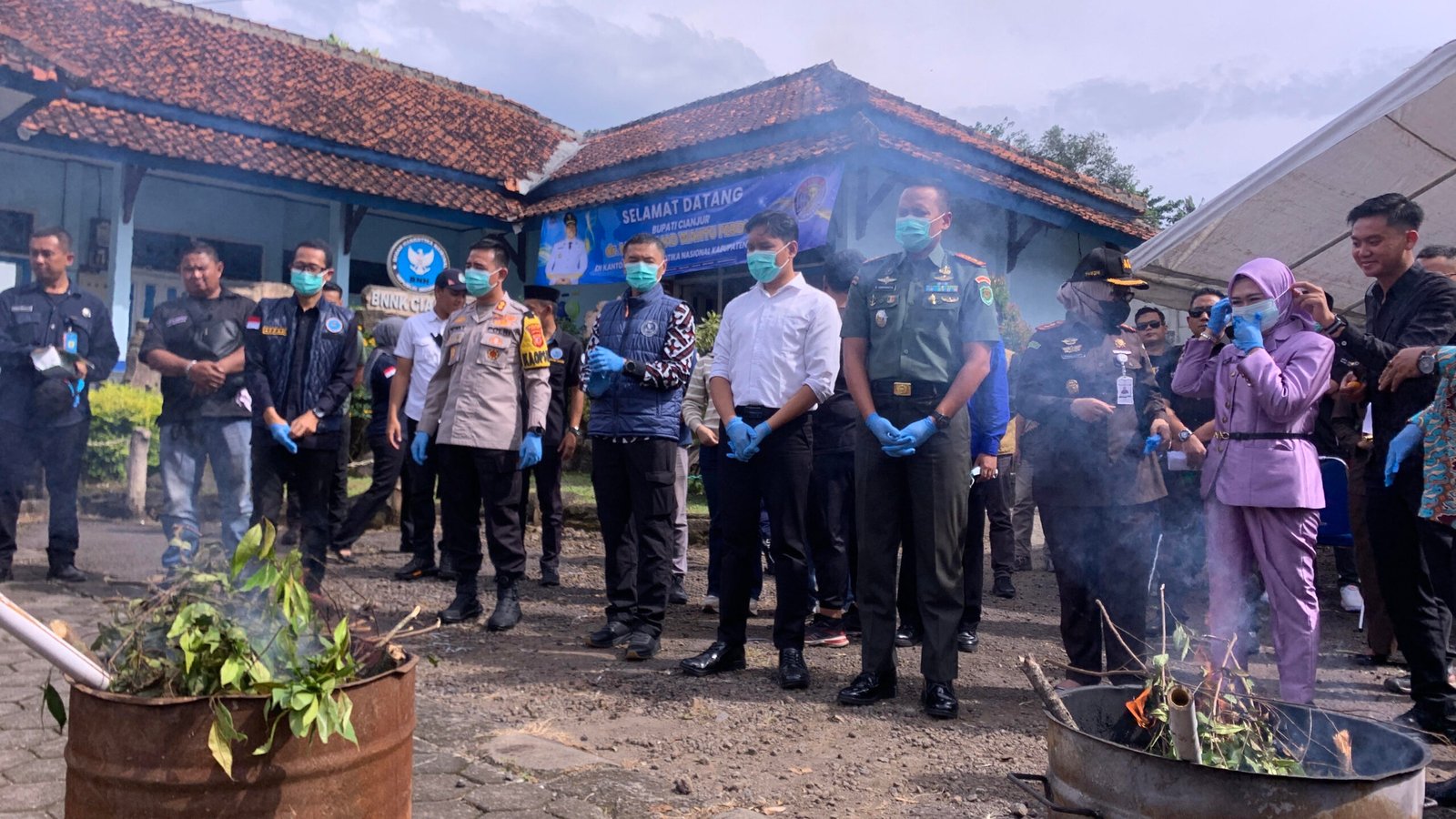Pemusnahan Tanaman Katinon