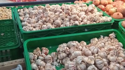 harga bawang hari ini, harga cabai hari ini, harga bawang 18 Agustus 2026, harga cabai 18 Agustus 2026, bawang merah, bawang putih, bawang bombay, cabai merah, cabai rawit, cabai hijau, harga pangan, harga sembako, harga bahan pokok, harga pasar, bahan pangan, informasi harga, harga kebutuhan dapur, berita ekonomi, berita hari ini