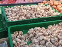 Harga Terbaru Bawang, Cabai, dan Beras Hari Ini, 14 Januari 2026