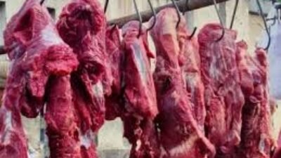 Harga Daging Hari Ini Kamis 16 Januari 2026, Ayam Broiler hingga Daging Sapi Lokal