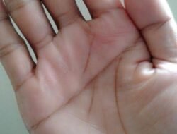 Makna Garis Tangan dan Artinya dalam Kehidupan