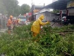 Waspada Cuaca Ekstrem, Hujan Lebat dan Angin Kencang Berpotensi Terjadi di Sejumlah Provinsi