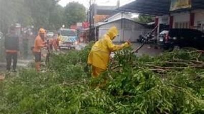 Waspada Cuaca Ekstrem, Hujan Lebat dan Angin Kencang Berpotensi Terjadi di Sejumlah Provinsi