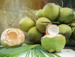 Manfaat Air Kelapa untuk Menetralkan Keracunan, Mitos atau Fakta?