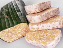 Harga Tahu, Tempe, dan Telur Terbaru, Ini Rinciannya