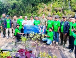 Jaga Kelestarian Lingkungan, PT Goena Mulya Jaya Tanam 666 Pohon di Hutan Gunung Lemo Kecamatan Pasirkuda Cianjur