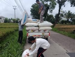 Bulog Cianjur Targetkan Penyerapan 33.772 Ton Gabah dan Beras di 2026