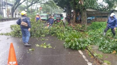 DLH Cianjur