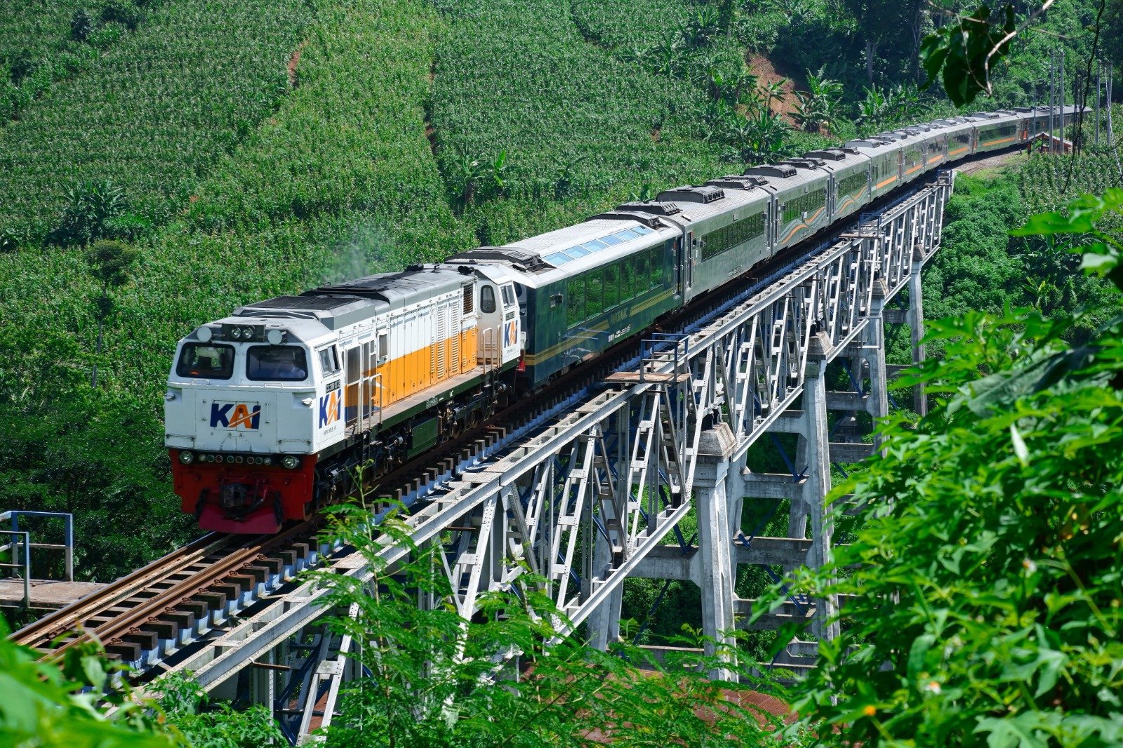 PT Kereta Api Indonesia (Persero) mencatat sepanjang tahun 2025, jumlah pelanggan Kereta Panoramic yang dikelola KAI Wisata mencapai 150.176 pelanggan