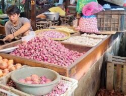 Harga Bawang dan Cabai di Jawa Barat Per 11 Januari 2026 Masih Relatif Stabil