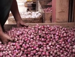 Harga Bawang dan Bahan Pokok Hari Ini, 27 Juni 2026: Bawang Merah Rp39.620 per Kg, Cabai Merah Tembus Rp45.407