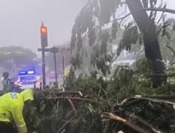 UPDATE Peringatan Dini Cuaca Jawa Barat 20 Februari 2026, Hujan Lebat Disertai Petir Berpotensi Meluas hingga Pagi Hari