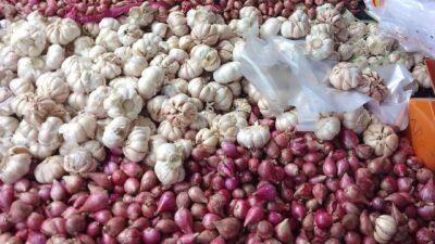 Harga Bawang dan Cabai di 2 Ramadan 2026: Rawit Merah Tertinggi, Kebutuhan Dapur Meningkat