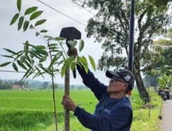 DLH Cianjur Tanam 500 Pohon di Kakija
