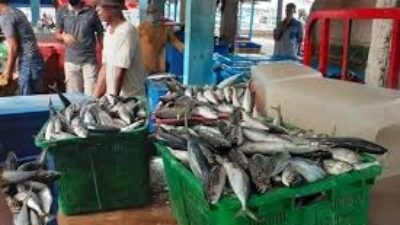 Harga Ikan di Jawa Barat pada 3 Ramadan, Teri Medan Tembus Rp106 Ribu per Kg