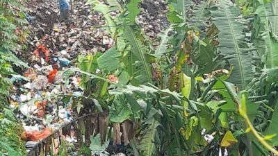 Petugas Gabungan Gotong Royong Bersihkan Sampah di Tebing Sungai Cikundul Sukanagalih