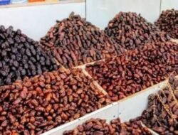 Harga Kurma Terbaru Di Pasaran, Ajwa Dan Medjool Masih Jadi Favorit