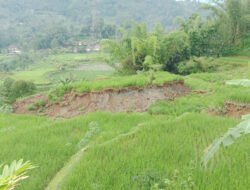 BPBD Cianjur Catat Empat Bencana Alam di Tiga Kecamatan Selama Februari 2026