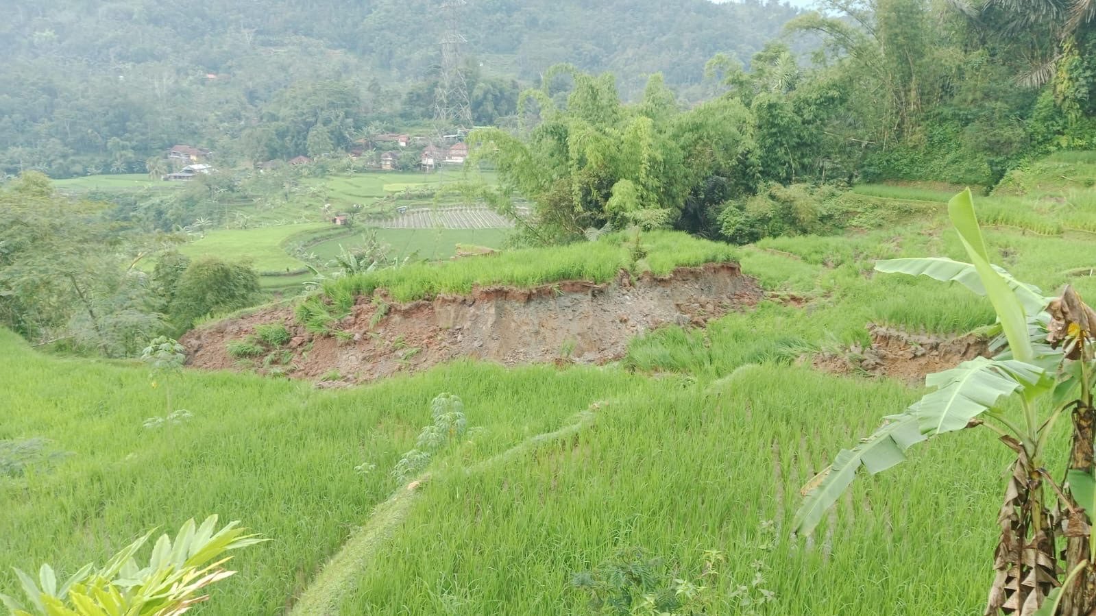 Badan Penanggulangan Bencana Daerah (BPBD) Kabupaten Cianjur mencatat ada empat kejadian bencana alam selama satu pekan terakhir dan membuat dua hektar sawah rusak.