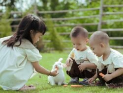 5 Penyebab Anak Sulit Makan yang Perlu Diketahui Orang Tua