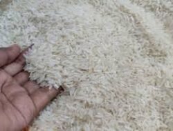 Harga Beras di Jawa Barat Terbaru, Cek Rinciannya di Sini