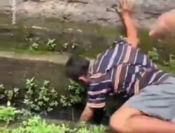 Diduga Lakukan Pelecehan, Seorang Pria Resahkan Pengendara di Jalan