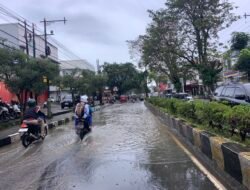 Pohon Tumbang dan Jalan Terendam Banjir di Cianjur Akibat Hujan Deras Disertai Angin Kencang