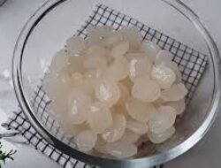 Manfaat Buah Kolang-Kaling untuk Kesehatan Tubuh