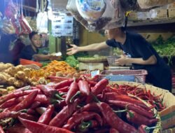 Harga Cabai di Cianjur Melonjak Tajam, Omset Pedagang Naik Lima Kali Lipat Jelang Lebaran 2026