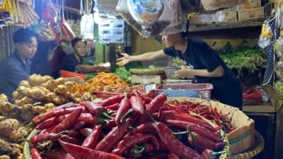 Harga Cabai di Cianjur Melonjak Tajam, Omset Pedagang Naik Lima Kali Lipat Jelang Lebaran 2026