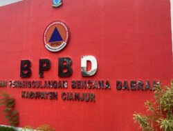 BPBD Cianjur Koordinasi dengan Dinas Terkait Tangani Titik Rawan Pohon Tumbang