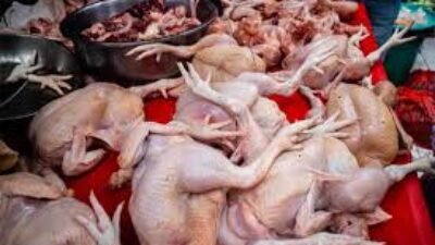 Harga Daging Hari Ini 23 Juni 2026, Daging Sapi Tembus Rp140 Ribu per Kilogram