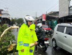 Arus Lalin Jalur Puncak-Cianjur di Cugenang Kembali Normal Usai Kejadian Pohon Tumbang