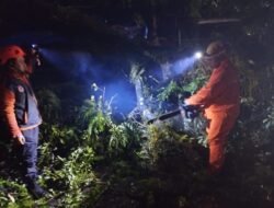 Hujan Angin Sebabkan Sejumlah Pohon Tumbang di Cianjur