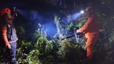 Hujan deras disertai angin kencang membuat sejumlah pohon tumbang di Kabupaten Cianjur, Sabtu 11 April 2026.