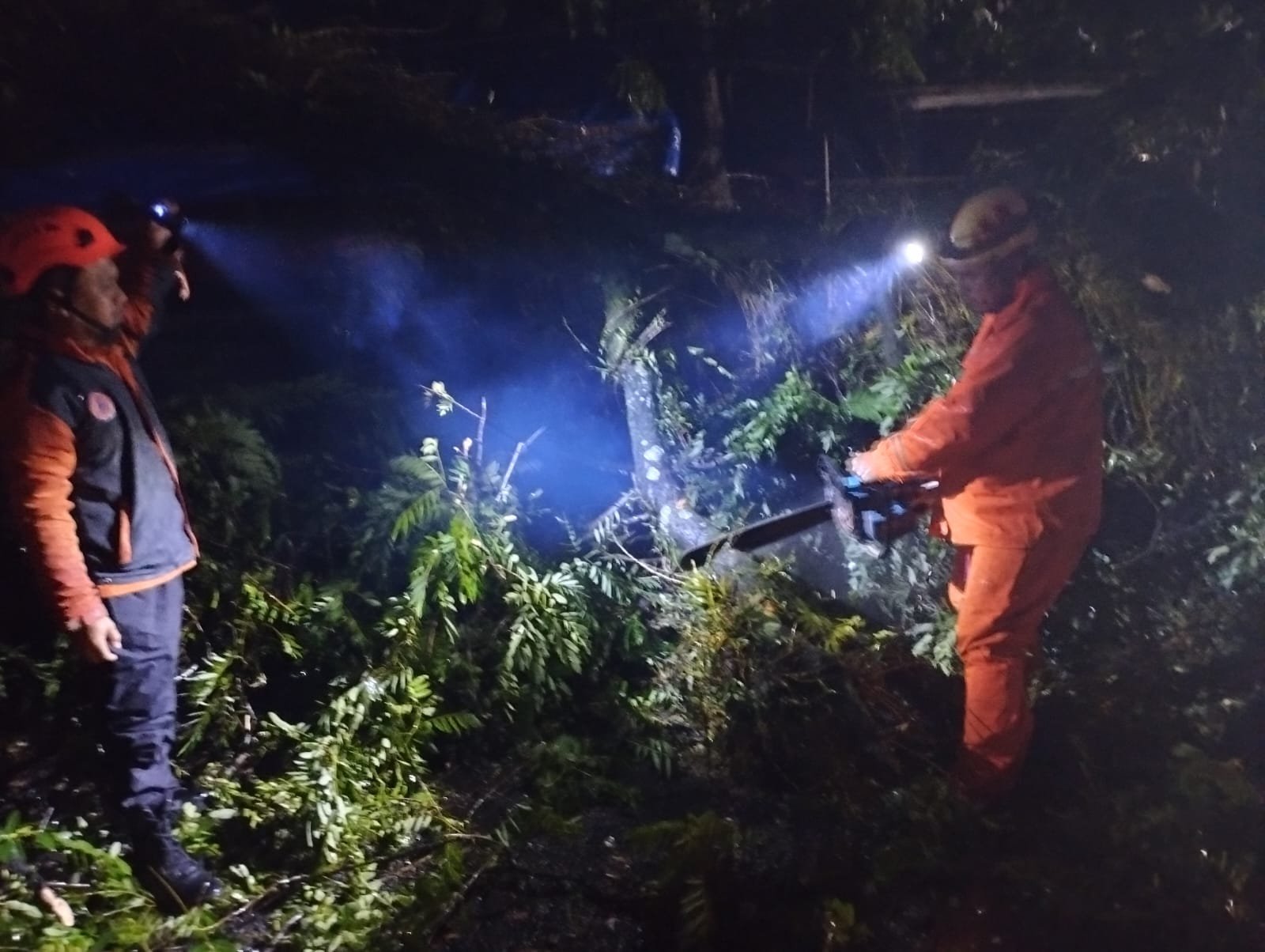Hujan deras disertai angin kencang membuat sejumlah pohon tumbang di Kabupaten Cianjur, Sabtu 11 April 2026.