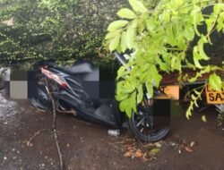Pohon Tumbang Timpa Pemotor di Cugenang Cianjur