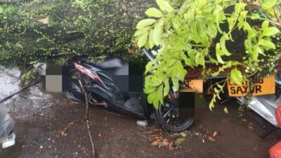 Pohon Tumbang Timpa Pemotor di Cugenang Cianjur