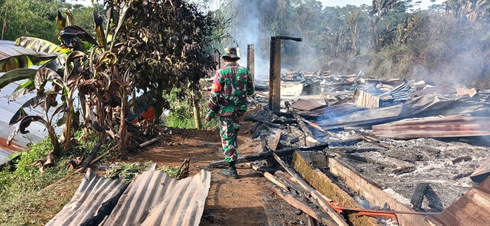 kandang ayam terbakar
