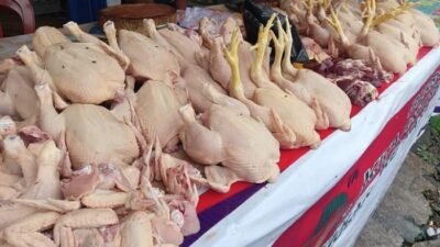 Harga Daging Hari Ini, 6 April 2026, Daging Sapi Masih Tinggi, Ayam Relatif Stabil